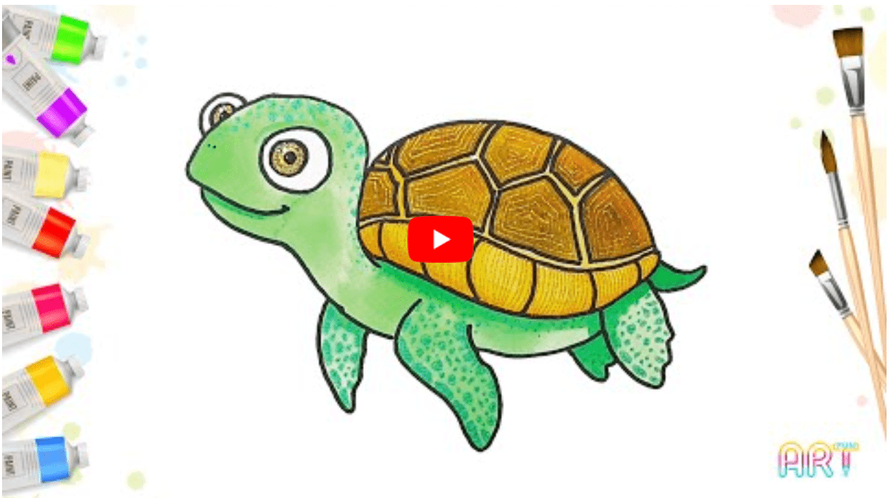 Cómo dibujar una tortuga marina