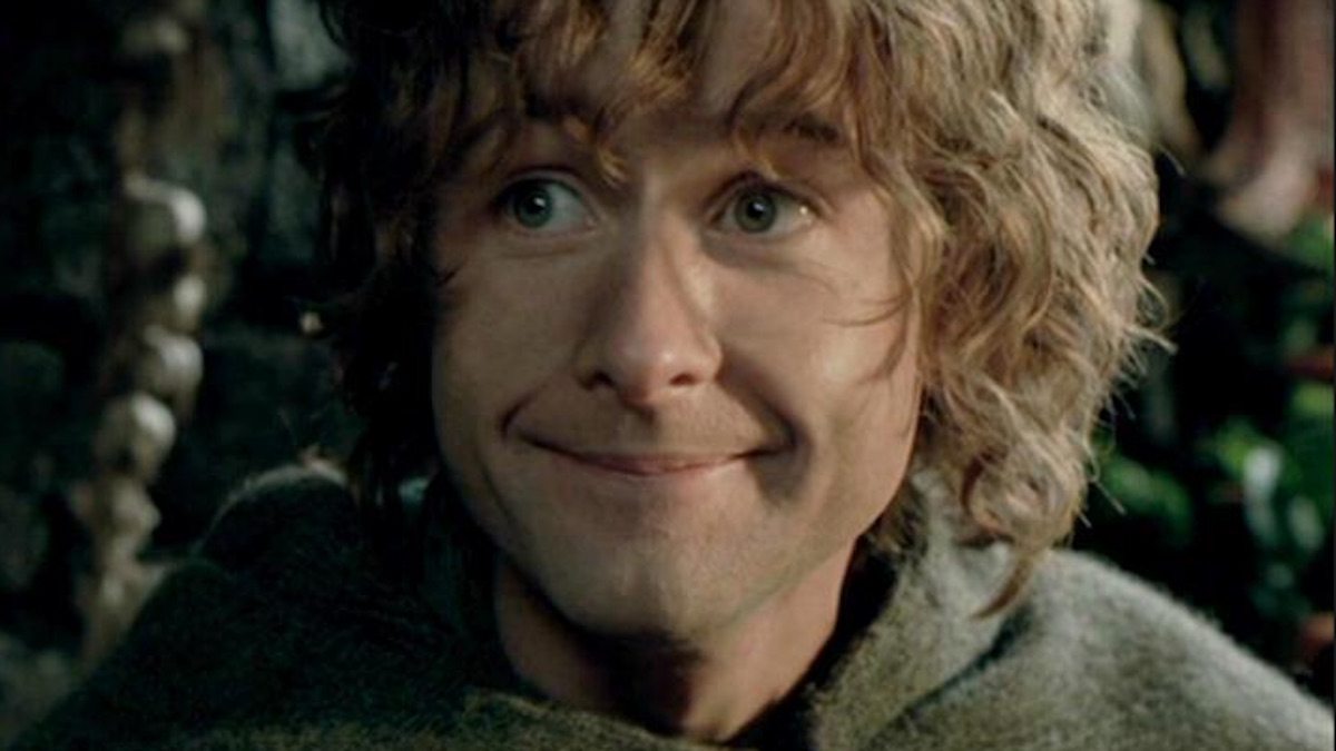 Peregrin  'Pippin' Took